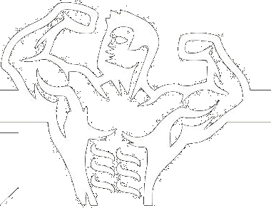Figura ST Nutrition